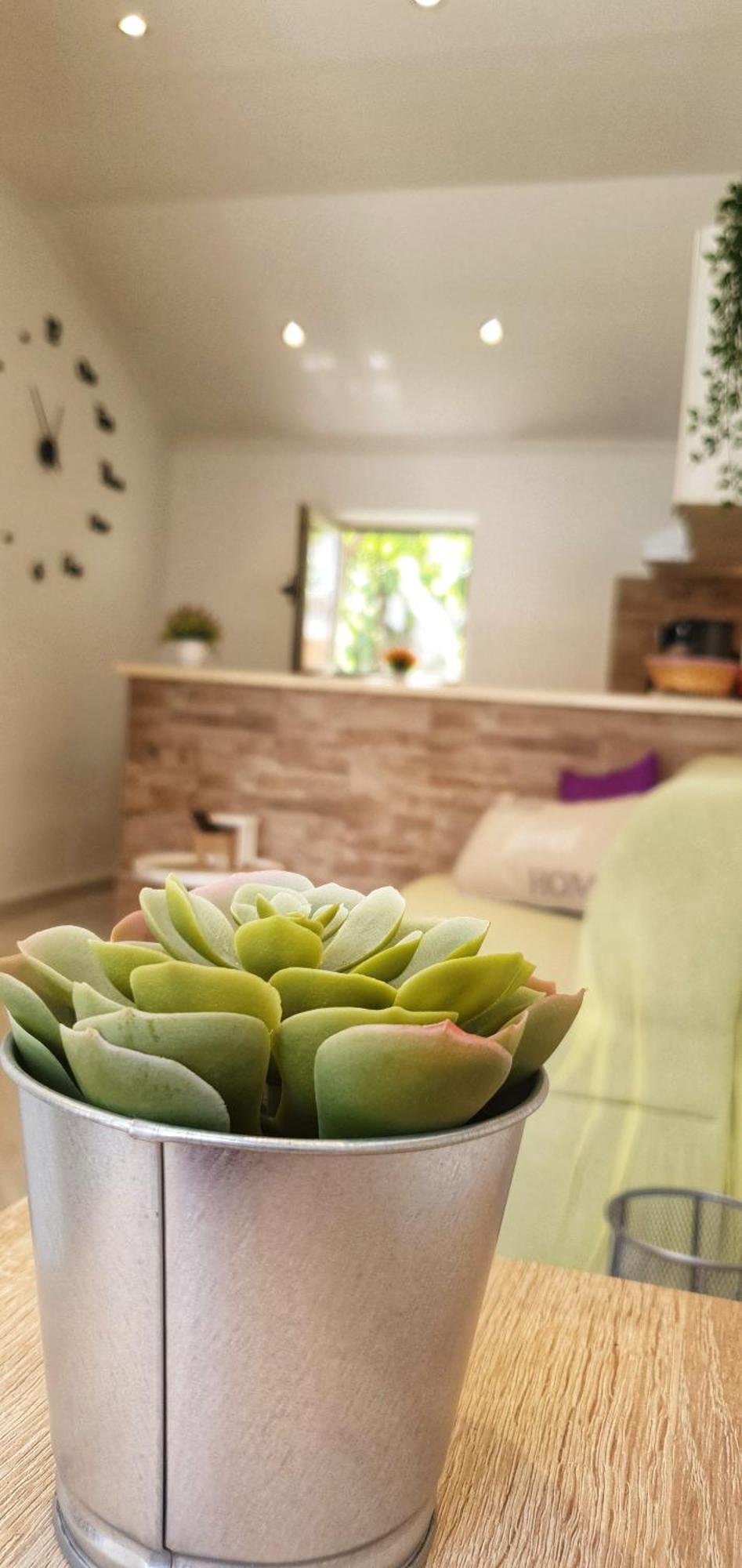 Apartments Marija Vukas Dubrovnik Kamer foto